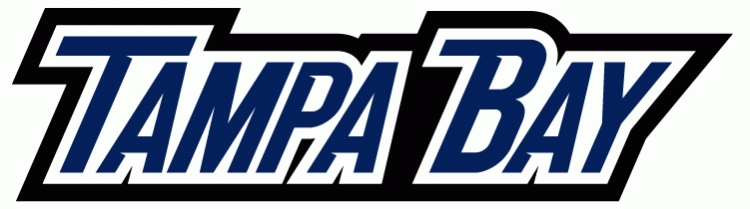 Tampa Bay Lightning 2007 08-2009 10 Wordmark Logo 02 iron on paper